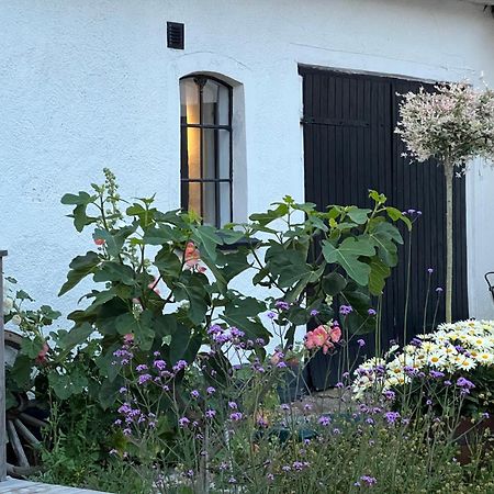 Backadal Gard Bnb Ystad Exterior foto
