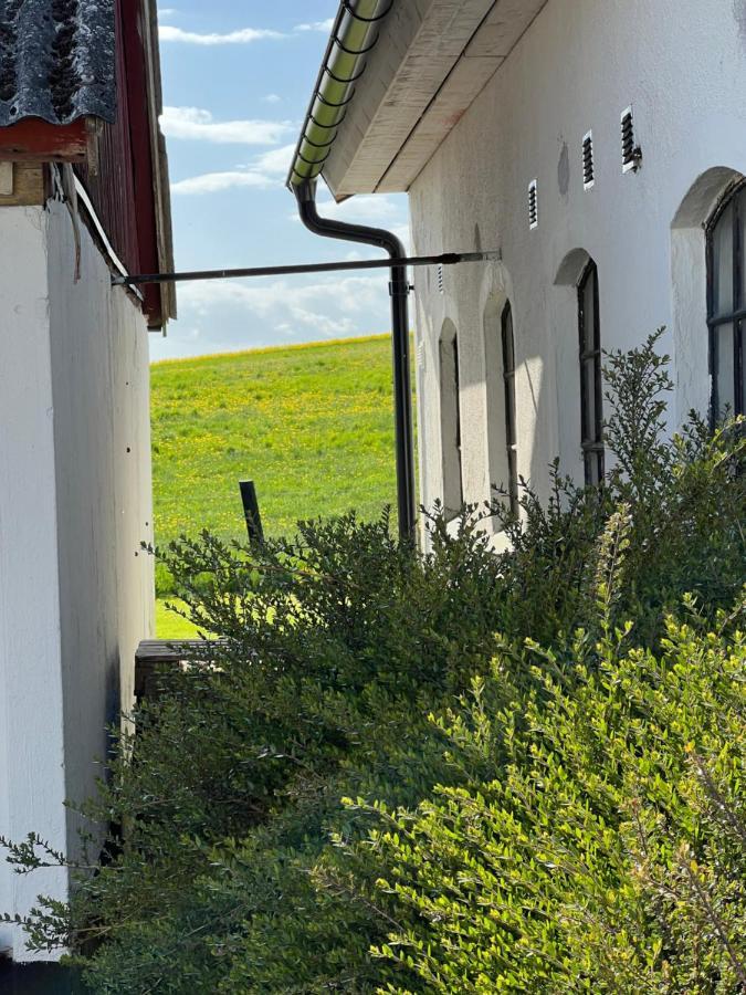 Backadal Gard Bnb Ystad Exterior foto
